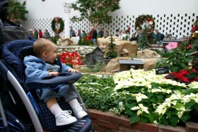 2004 Missouri Botanical Garden “Gardenland Express” Garden Railroad