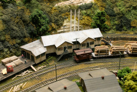 Swandale on the Buffalo Creek and Gauley Railroad