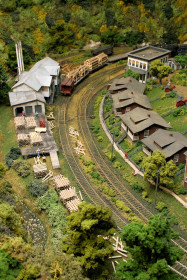 Swandale on the Buffalo Creek and Gauley Railroad