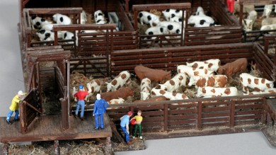 Close-up of model railroad stockyard and painted cattle.