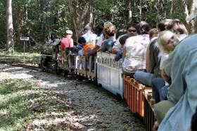 2010 Annual Joint Train Picnic at WF&P