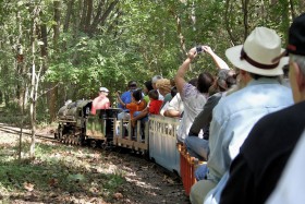 2010 Annual Joint Train Picnic at WF&P