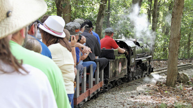 2010 Annual Joint Train Picnic at WF&P