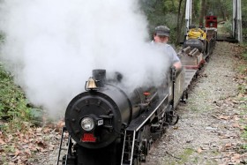 2010 Annual Joint Train Picnic at WF&P