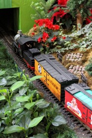 2012 Missouri Botanical Garden “Gardenland Express” Garden Railroad