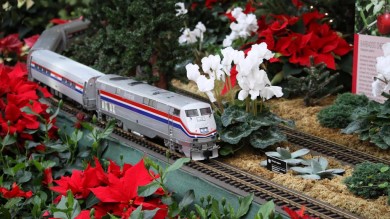 2013 Missouri Botanical Garden “Gardenland Express” Garden Railroad