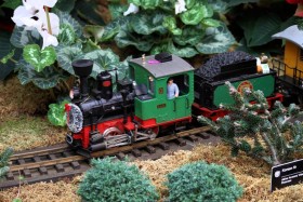 2013 Missouri Botanical Garden “Gardenland Express” Garden Railroad