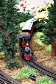 2013 Missouri Botanical Garden “Gardenland Express” Garden Railroad