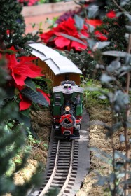 2013 Missouri Botanical Garden “Gardenland Express” Garden Railroad