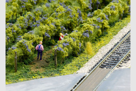 Joyce and David Silverman’s Silver Valley Lines Model Railroad