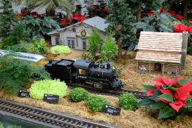 2014 Missouri Botanical Garden “Gardenland Express” Garden Railroad
