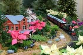 2014 Missouri Botanical Garden “Gardenland Express” Garden Railroad