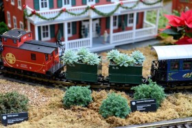 2014 Missouri Botanical Garden “Gardenland Express” Garden Railroad