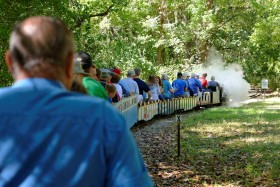 NMRA-NRHS-WF&P Train Picnic 2015