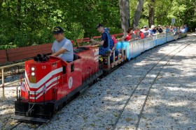 NMRA-NRHS-WF&P Train Picnic 2015