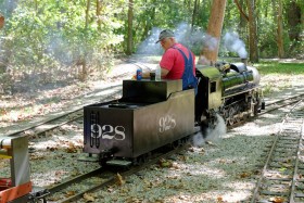 NMRA-NRHS-WF&P Train Picnic 2015