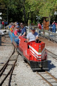 NMRA-NRHS-WF&P Train Picnic 2015