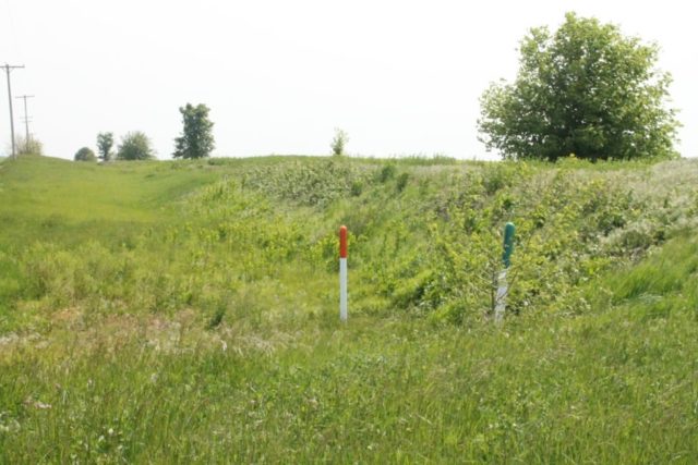 Modeling Nature with Static Grass