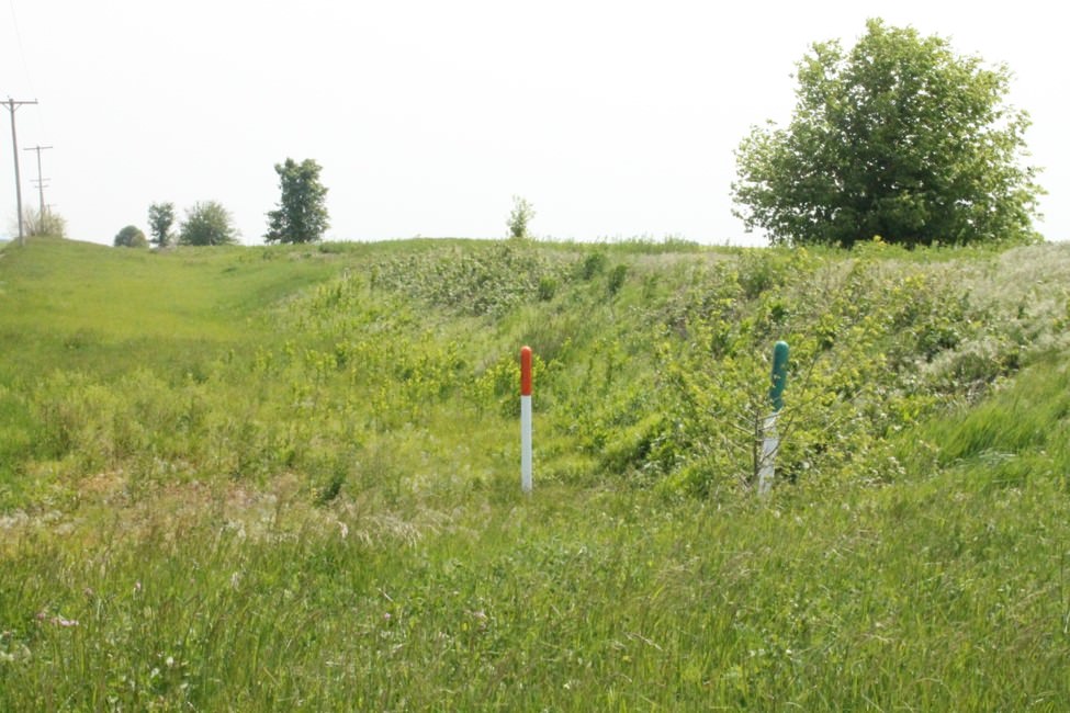 Step-by-Step: Modeling Nature with Static Grass