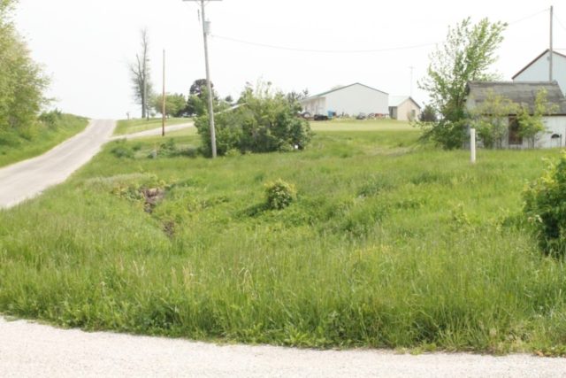 Modeling Nature with Static Grass