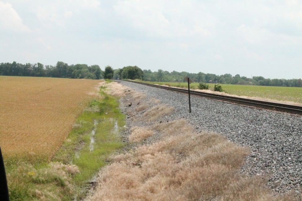 Step-by-Step: Modeling Nature with Static Grass