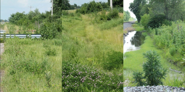 Modeling Nature with Static Grass